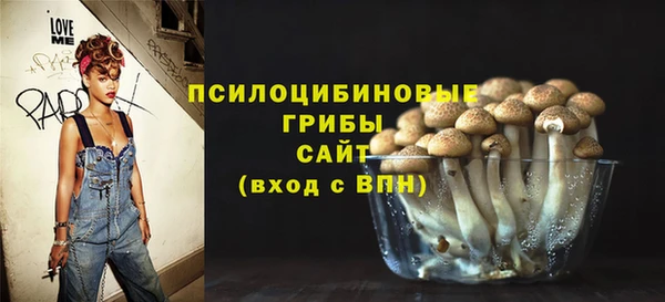 дмт Алзамай