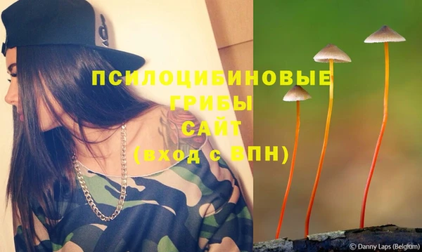 дмт Алзамай
