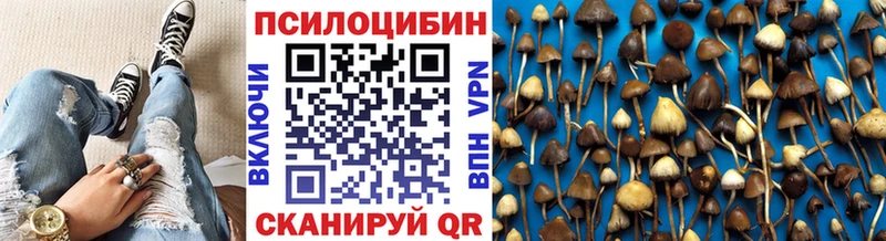Галлюциногенные грибы Cubensis  KRAKEN ТОР  Красноярск  цены  